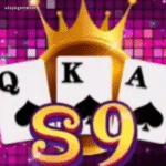 S9 Game