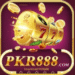 PKR888 Game